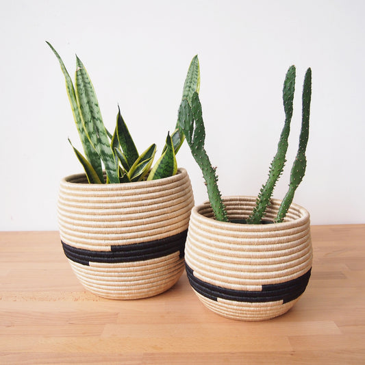 Amsha Honey Pot Basket