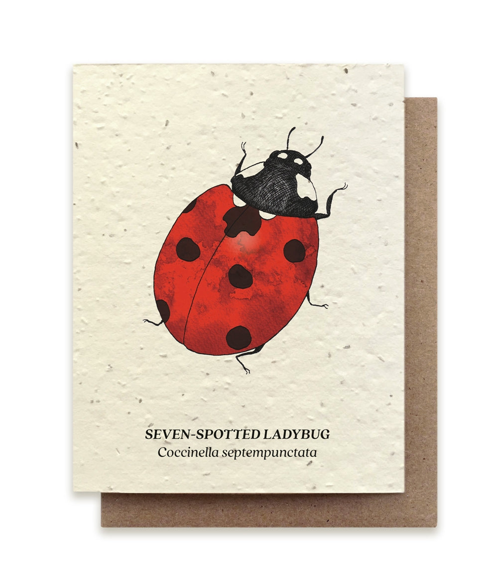 Seven-Spotted Ladybug Plantable Herb Seed Card