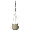 6.5" Lelay Hanging Planter