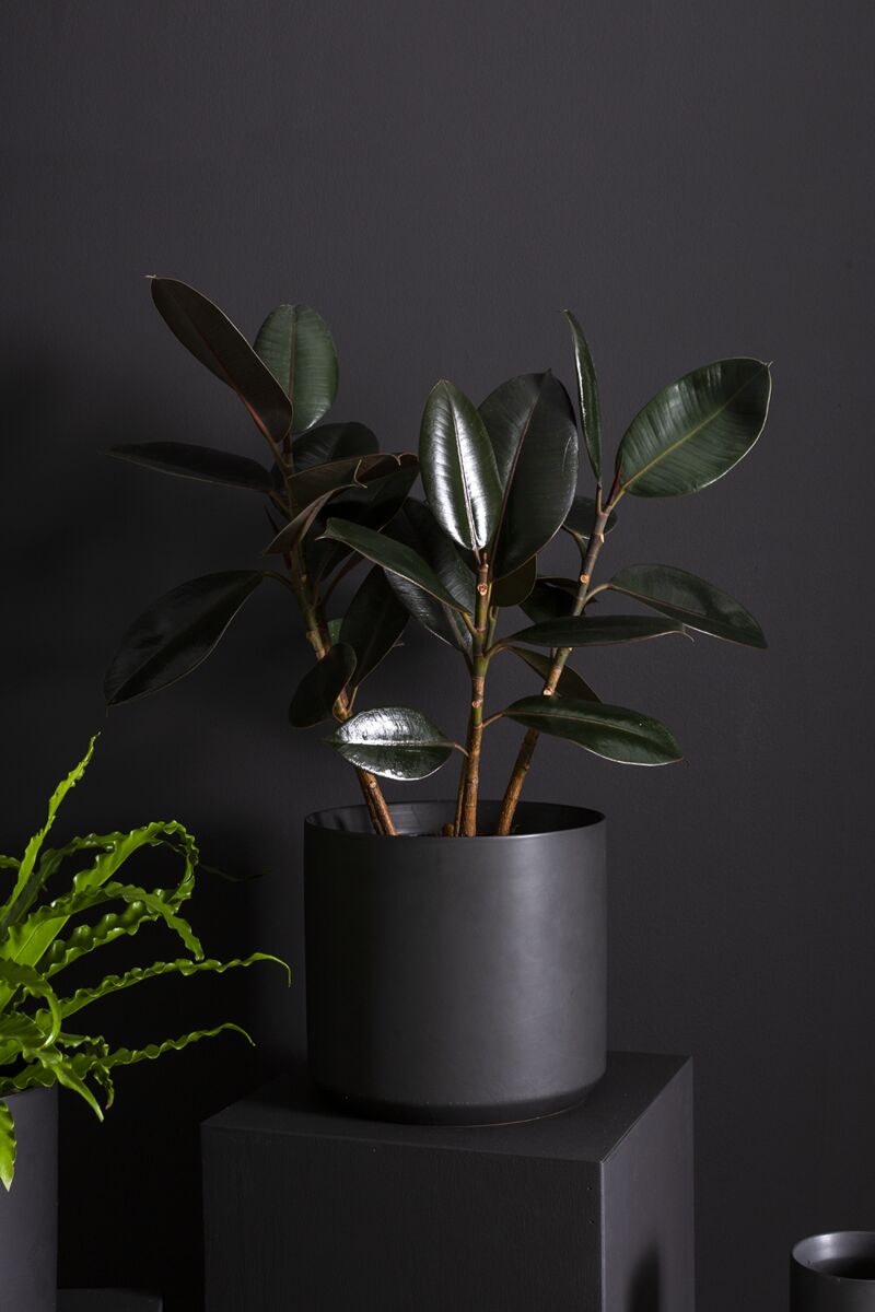 4.75" Kendall Pot Black