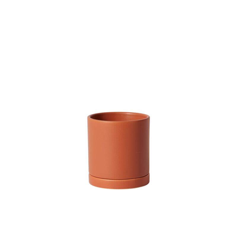 4.25" Romey Pot + Saucer Terracotta