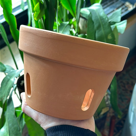 So Patio 6" Orchid Clay Pot