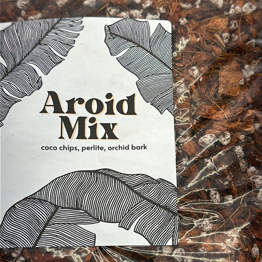 Fern - Aroid Mix 1 Gal