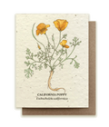 California Poppy Plantable Wildflower Seed Card