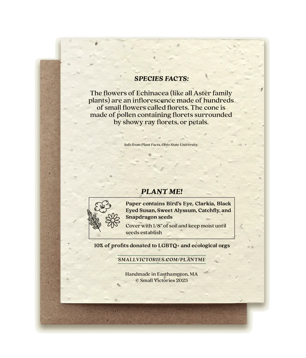 Echinacea Plantable Wildflower Seed Card