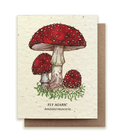 Fly Agaric Mushroom Plantable Wildflower Seed Card
