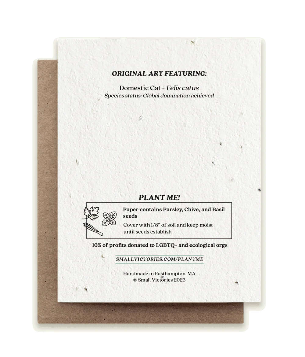 Gingerbread Cat Plantable Herb Seed Card