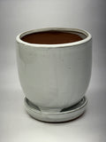 Verandah 5" Maui Pot wsp