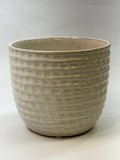 Palm Spring 6.5" Honeycomb Seashell Pot