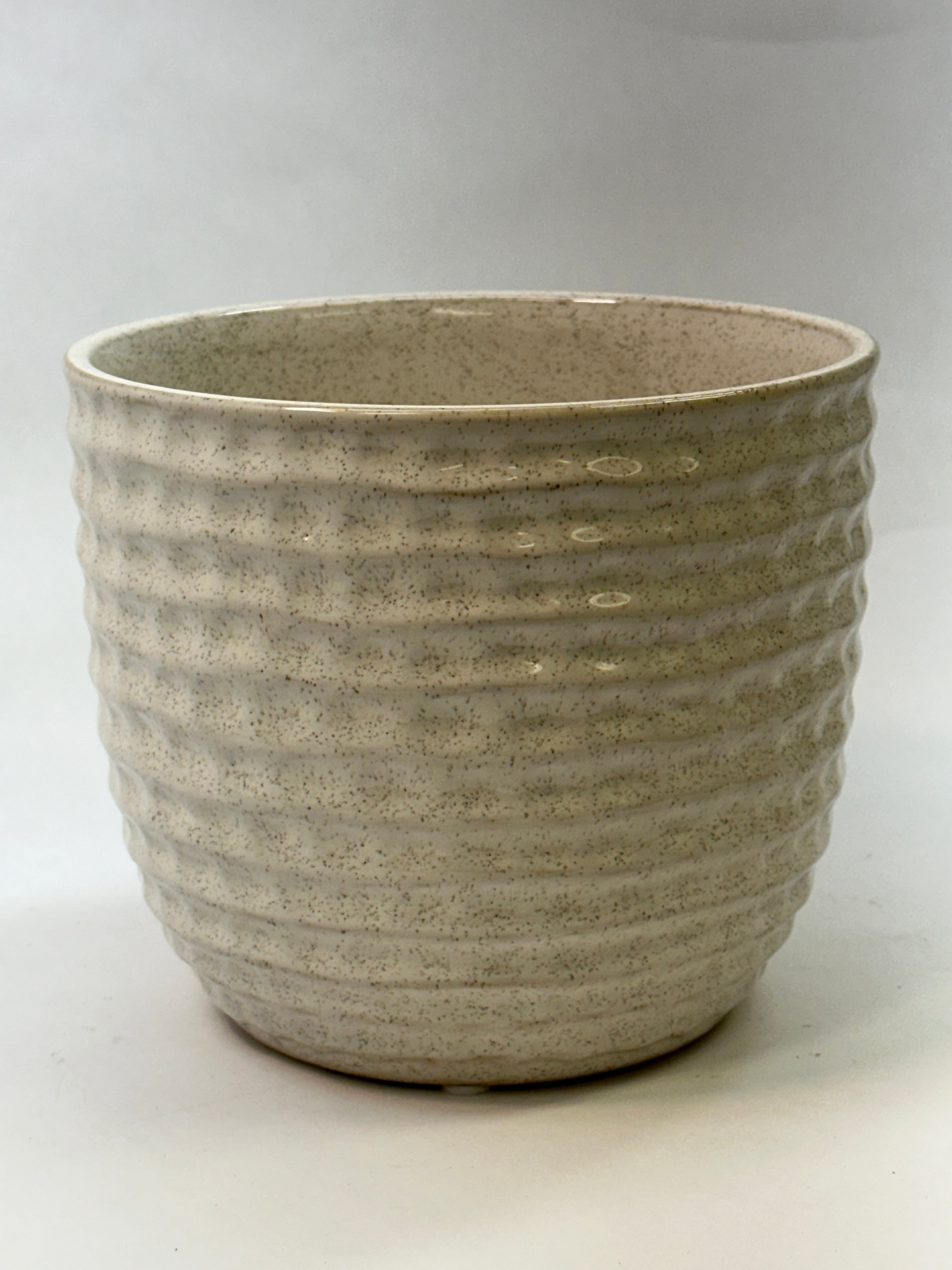 Palm Spring 6.5" Honeycomb Seashell Pot