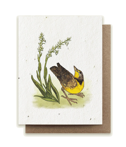 Meadowlark & Prairie Orchid Plantable Herb Card