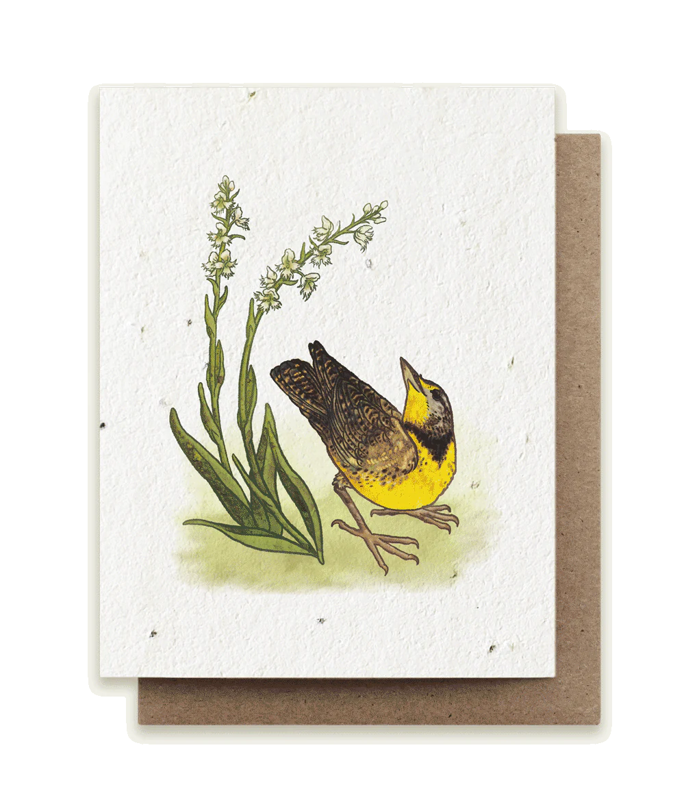 Meadowlark & Prairie Orchid Plantable Herb Card