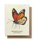 Monarch Butterfly Plantable Wildflower Seed Card