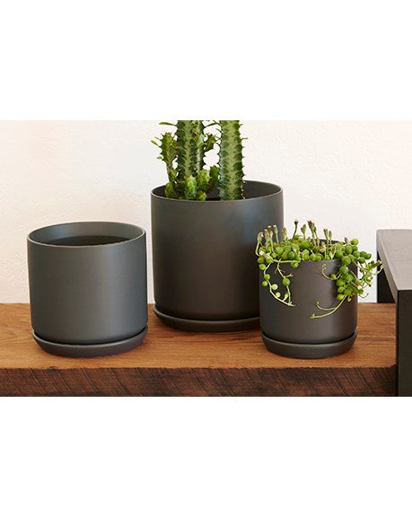 Palm Spring 5" Pot - Black