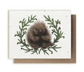 Porcupine & Hemlock Plantable Herb Seed Card
