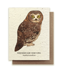 Northern Saw-Whet Owl Plantable Wildflower Seed Card
