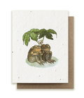 Two Toads Together Plantable Herb Seed Card