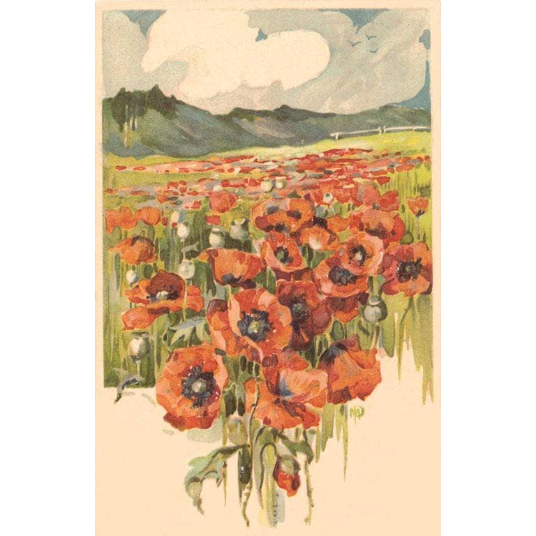 Found Image Print - Poppy Field
