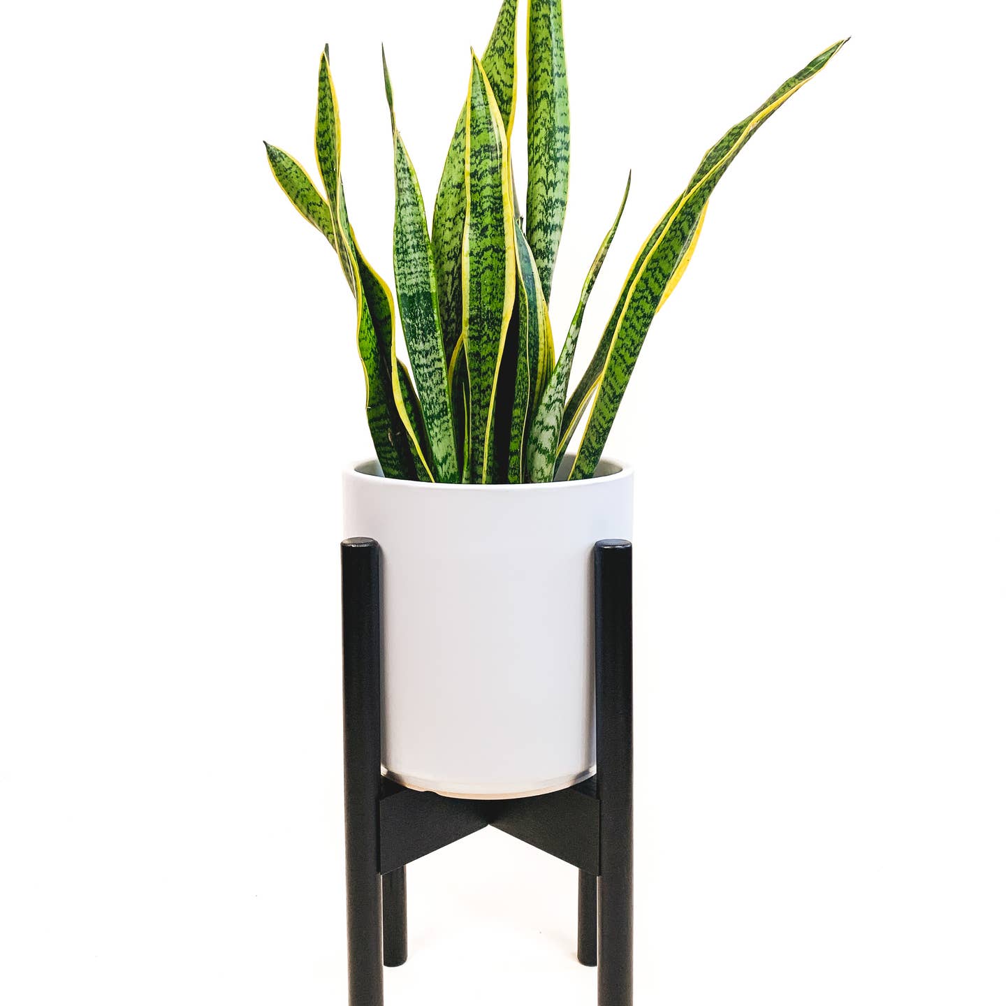 Declutterd Adjustable Plant Stand