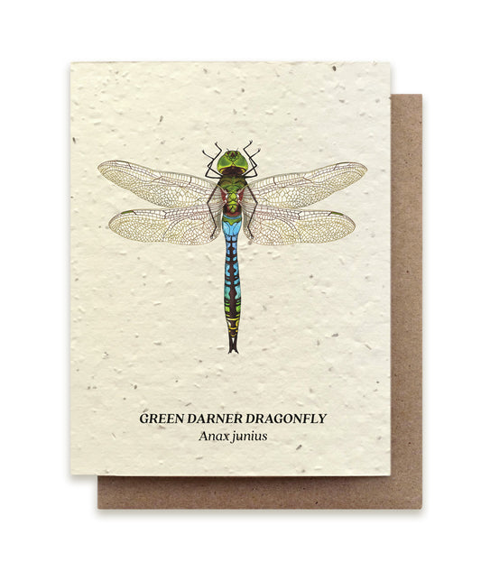 Green Darner Dragonfly Plantable Wildflower Seed Card