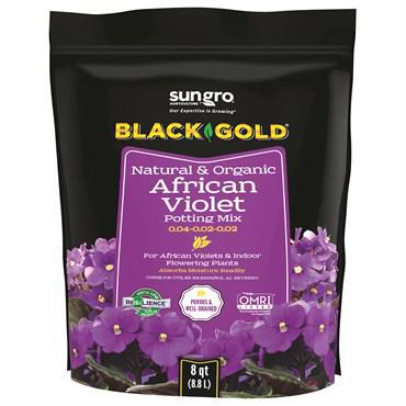 Black Gold African Violet Mix 8qt