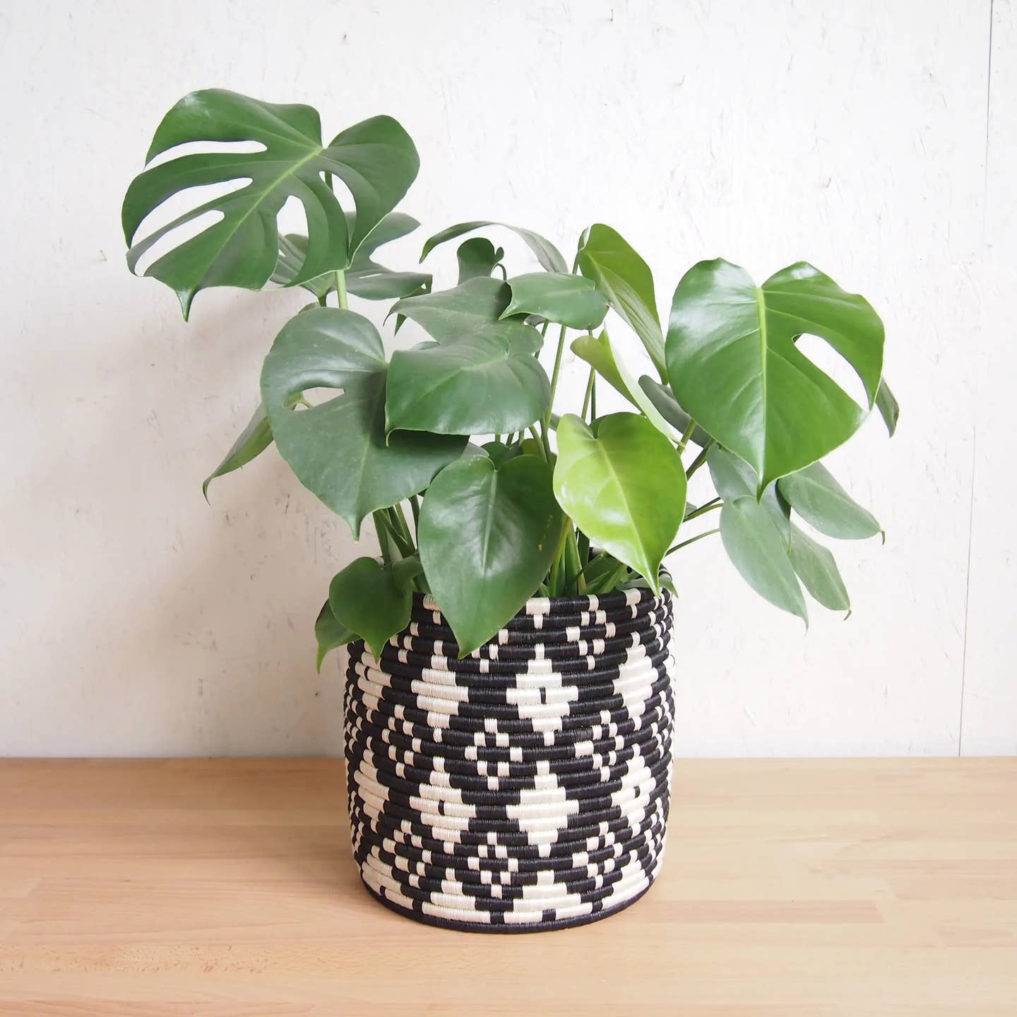 Amsha Planter Basket - Ndora