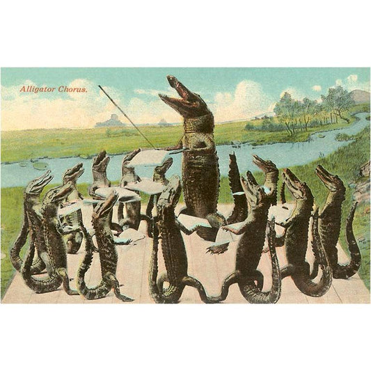 Found Image Print - Alligator Chorus