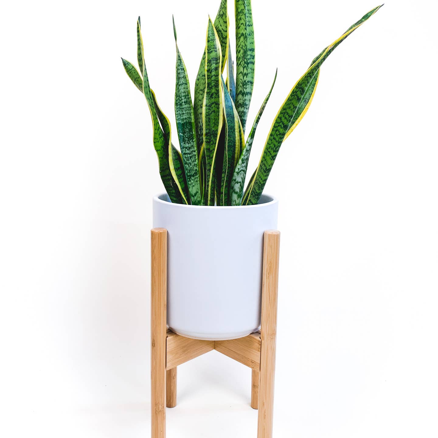 Declutterd Adjustable Plant Stand