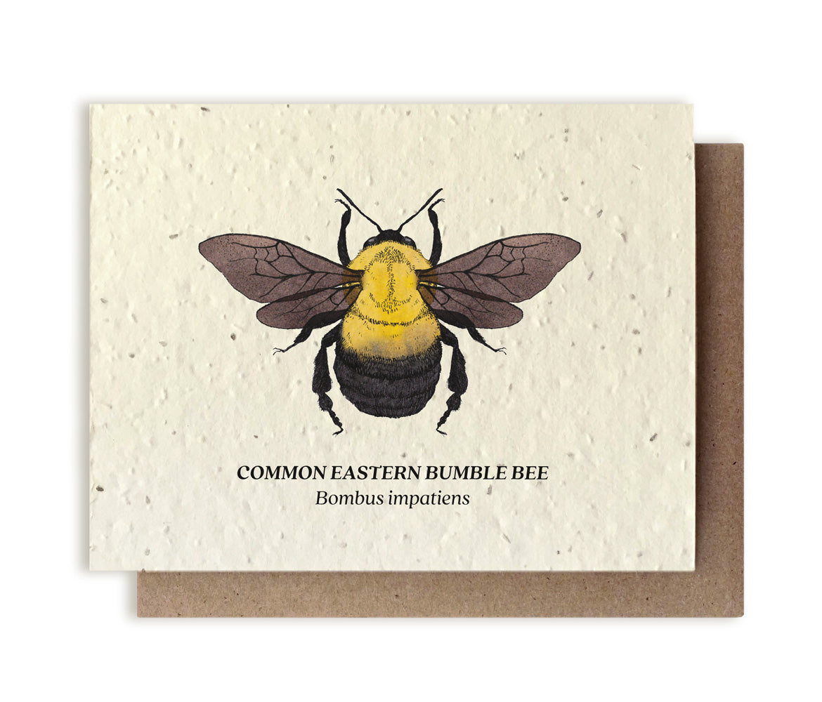 Bumble Bee Plantable Wildflower Seed Card