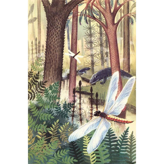 Found Image Print - Dragonfly in Primeval Swamp